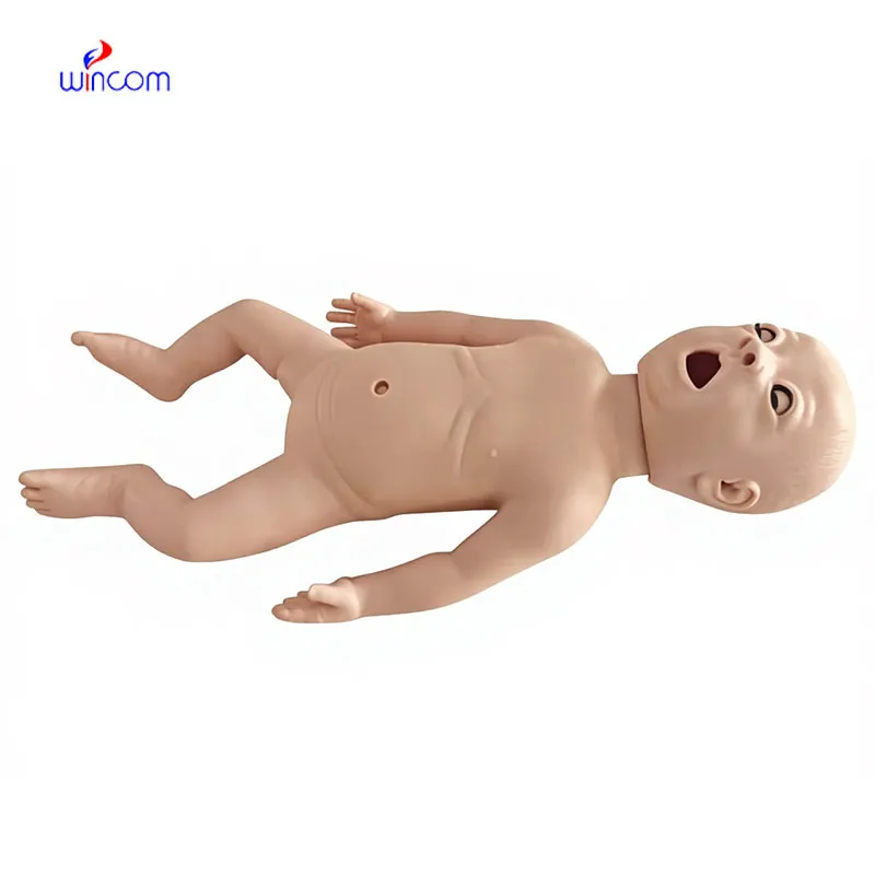 Care & Maintenance of portable handheld ultrasound scanner