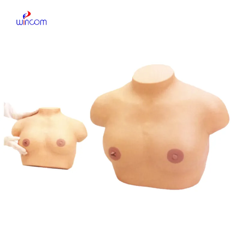 ADVANCED INSPECTION AND PALPATION OF BREAST MODEL LM4067